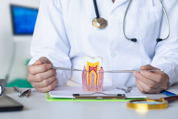 Best Emergency Dentist for Knocked-Out Tooth in Lehigh Acres, FL